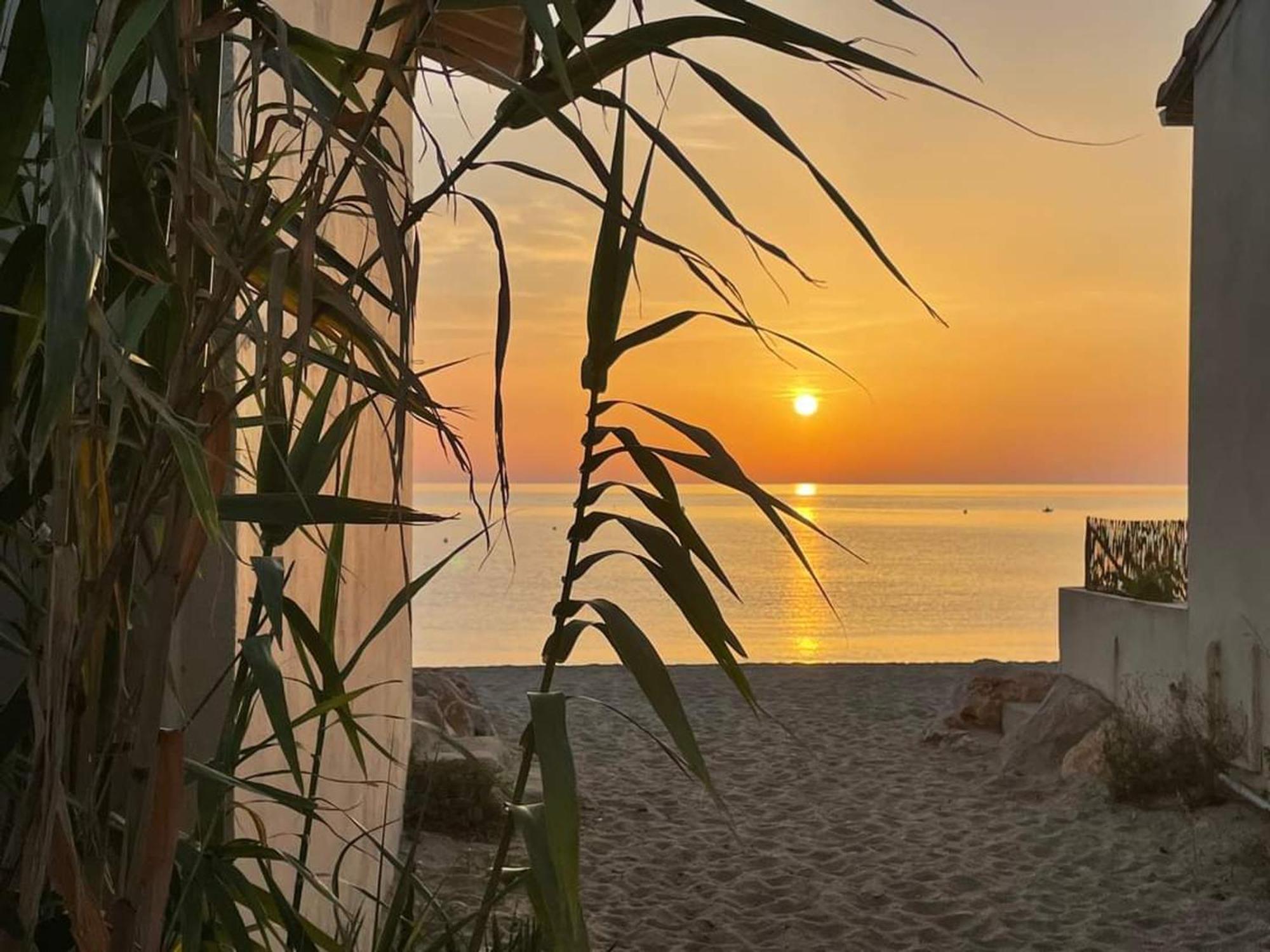 Pavillon 6 Pers A Argeles-Sur-Mer: Piscine, Clim, Parking, Wifi, Proche Plage - Fr-1-776-5 Bagian luar foto