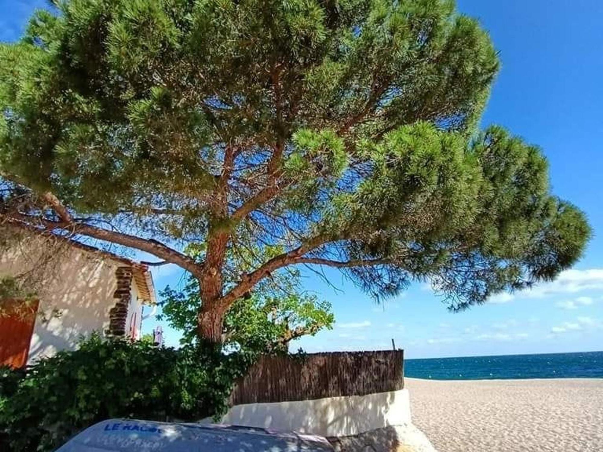 Pavillon 6 Pers A Argeles-Sur-Mer: Piscine, Clim, Parking, Wifi, Proche Plage - Fr-1-776-5 Bagian luar foto